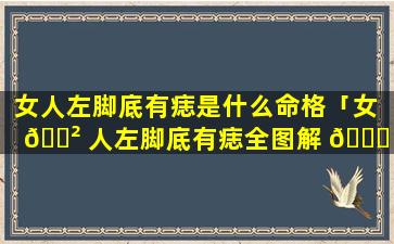 女人左脚底有痣是什么命格「女 🌲 人左脚底有痣全图解 🐟 吉凶介绍」